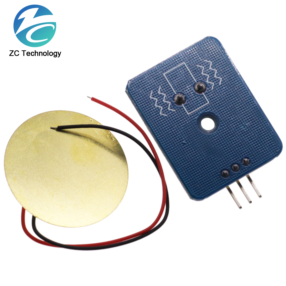 DIY zestaw 3.3V/5V ceramiczny  – Diy Analog Electronics recenzja i cena